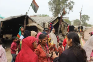 Food Drive: Fighting Hunger, One Meal at a Time